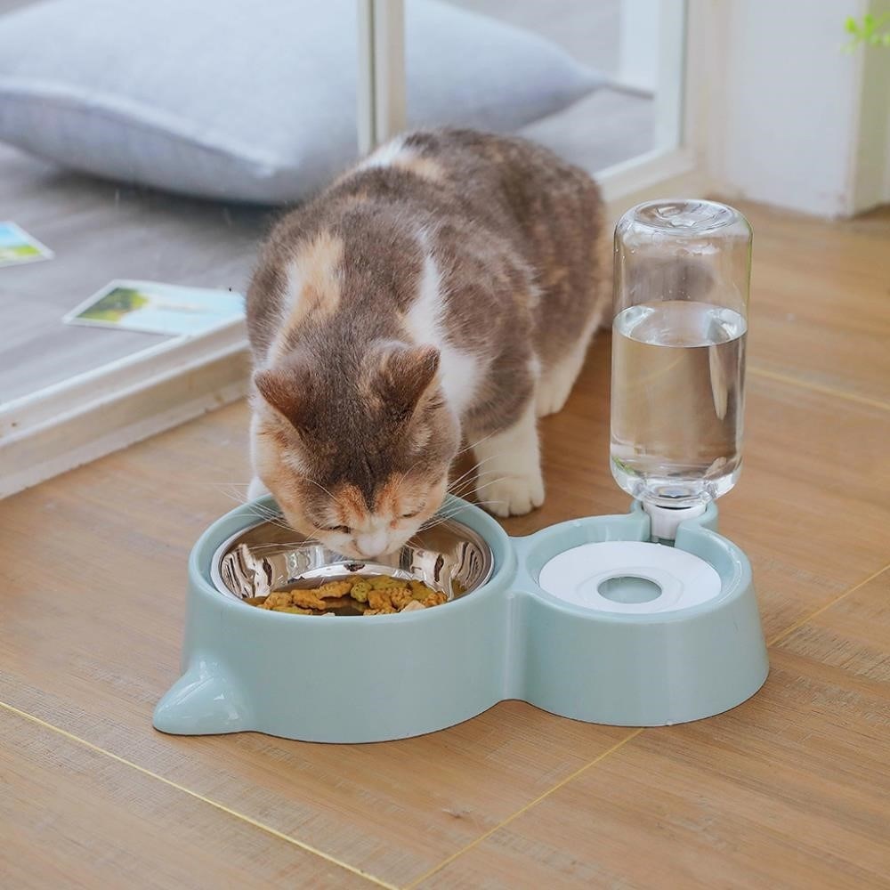 Gamelle pour chat avec distributeur d'eau
