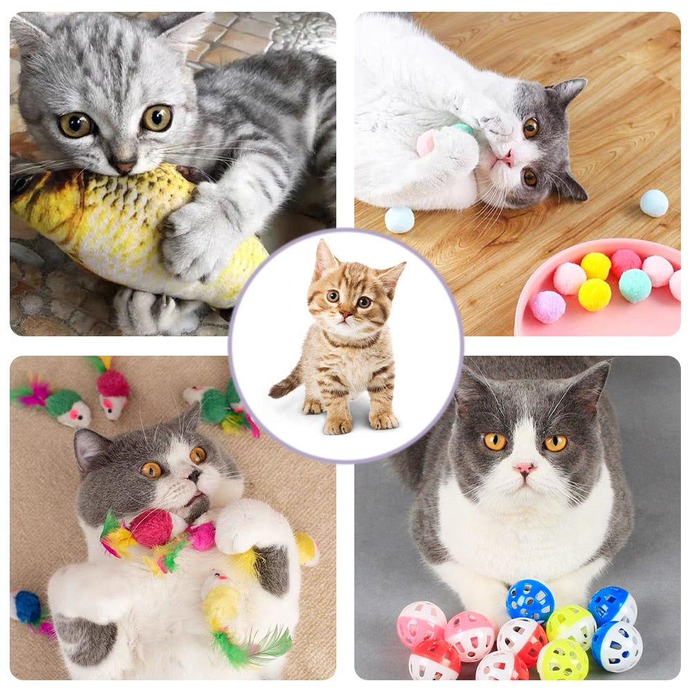 Lot de jouets pour chat
