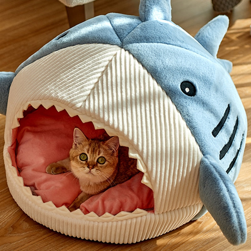 Maison avec ouverture en forme de requin