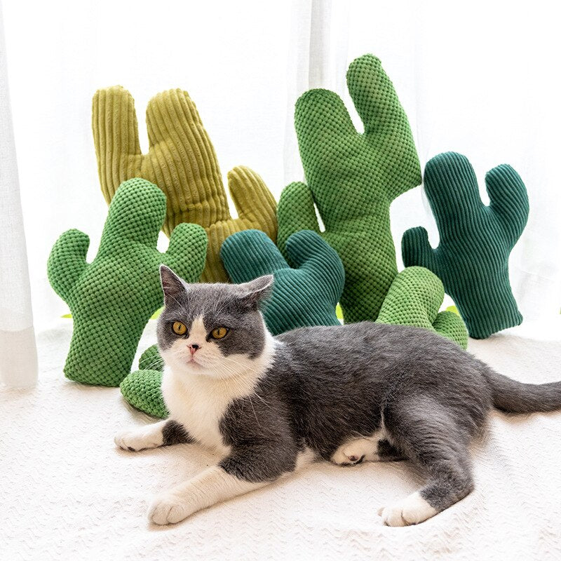 Jouet pour chat cactus