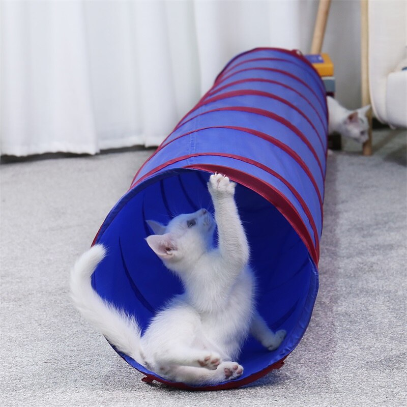Tunnel pliable pour chat