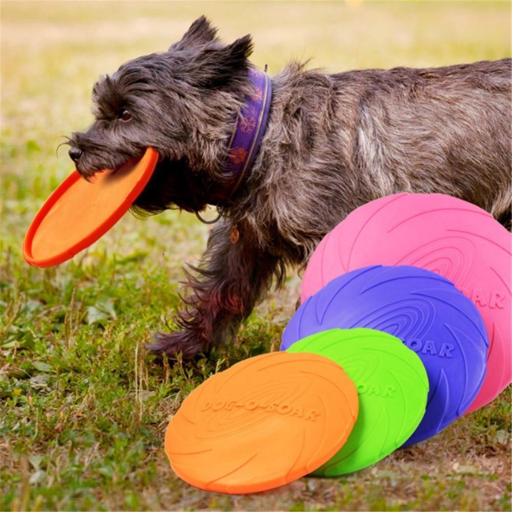 Jouet disque frisbee pour chien - dodo-pour-animaux