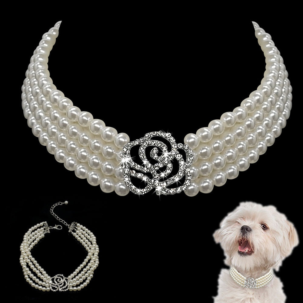 Collier de perle pour chien