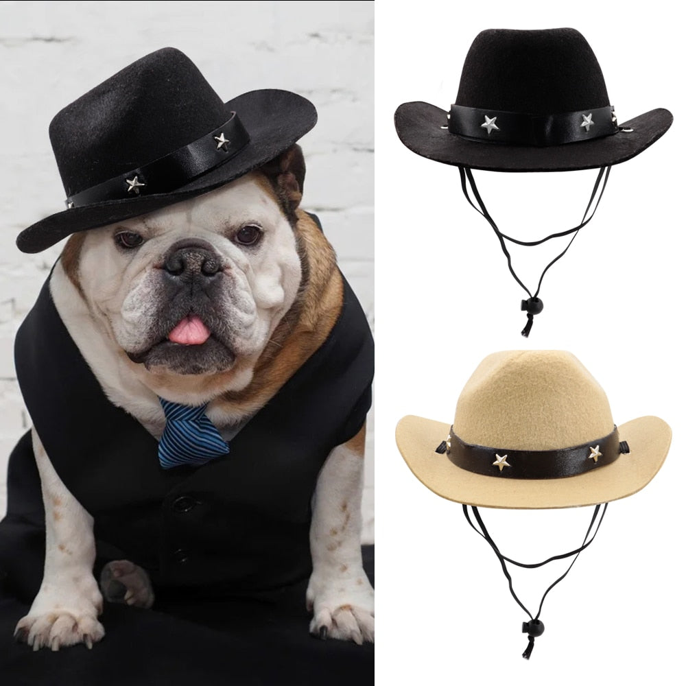 Chapeau de cowboy pour chien