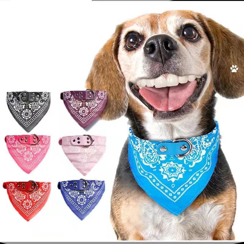 Collier bandana pour chien