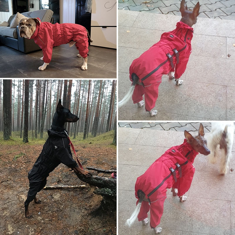 Manteau pour chien waterproof