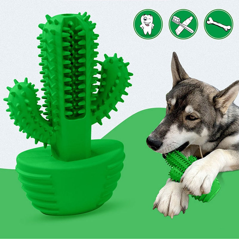 Jouet cactus pour chien