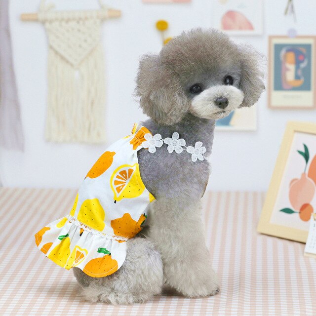 Robe avec motifs citron pour chien