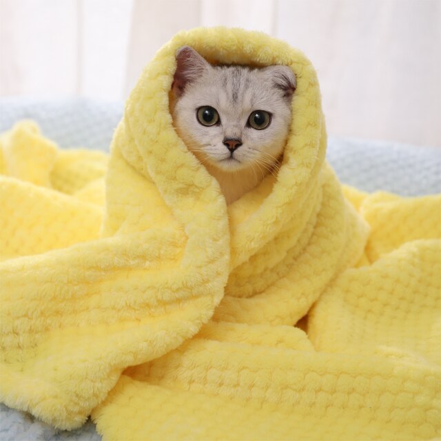Couverture chaud et douce pour chat