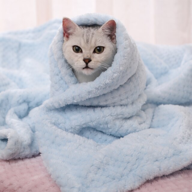 Couverture chaud et douce pour chat