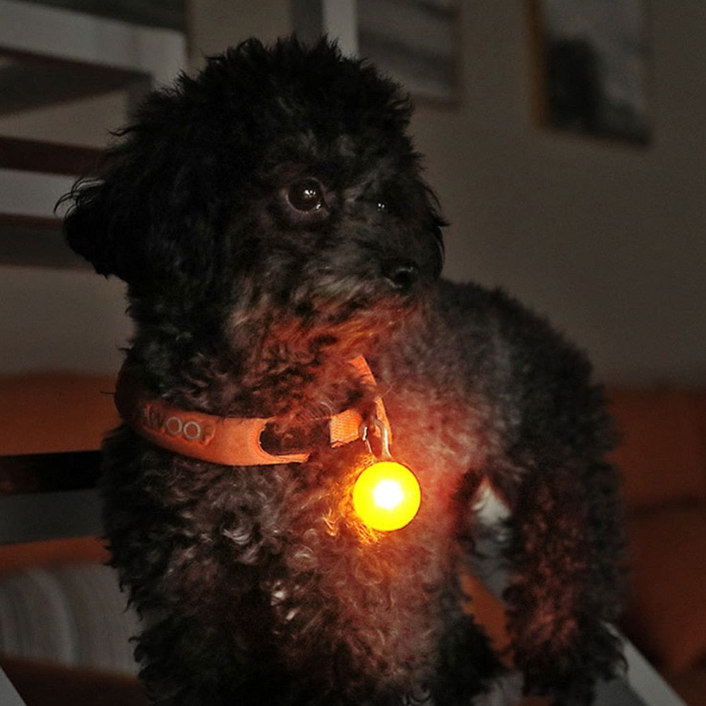 Pendentif lumineux LED pour chien